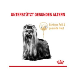 Royal Canin Yorkshire Terrier Adult 8+ -Katzen Hundebedarf Geschäft royal canin yorkshire terrir adult 8 165217 0500 none