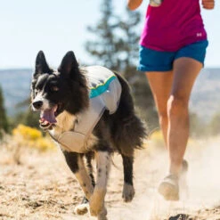 Ruffwear Swamp Cooler 21 Ruffwear Swamp Cooler -Katzen Hundebedarf Geschäft ruffwear swamp cooler 124703 0500 none