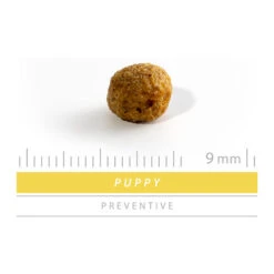 SANIMED Puppy -Katzen Hundebedarf Geschäft sanimed puppy 159224 0500 none