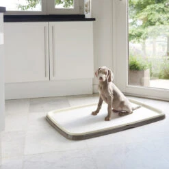 Savic Puppy Trainer + Pads -Katzen Hundebedarf Geschäft savic puppy trainer pads 163498 0500 none