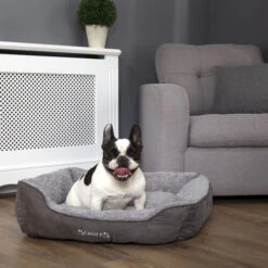 Scruffs Cosy Box Bett -Katzen Hundebedarf Geschäft scruffs cosy box bed 209468 0500 none
