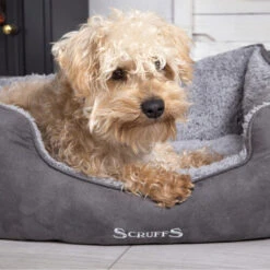 Scruffs Cosy Box Bett -Katzen Hundebedarf Geschäft scruffs cosy box bed 209483 0500 none