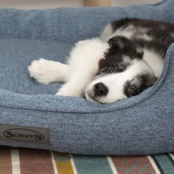 Scruffs Manhattan Box Bett 13 Scruffs Manhattan Box Bett -Katzen Hundebedarf Geschäft scruffs manhattan box bed 209510 0500 none