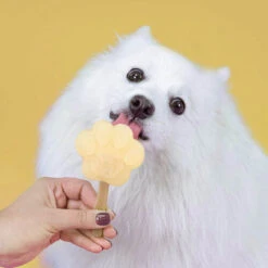 Smoofl Hundeeis Starter Kit -Katzen Hundebedarf Geschäft smoofl dog ice starter kit 195155 0500 none