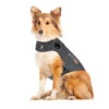 Thundershirt Für Hunde