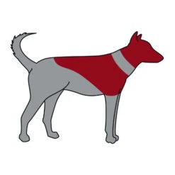 Trixie Aufblasbare Halskrause -Katzen Hundebedarf Geschäft trixie opblaasbare beschermkraag 101866 0500 none