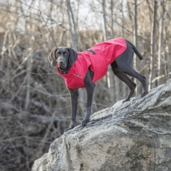 Trixie Regenjacke Vimy 19 Trixie Regenjacke Vimy -Katzen Hundebedarf Geschäft trixie regenjas vimy 204854 0500 none