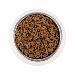 Vetality Gastrointestinal - Katzenfutter -Katzen Hundebedarf Geschäft vetality gastrointestinal kattenvoer 217720 0500 none