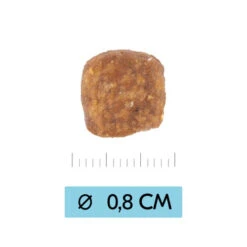 Vetality Puppy Medium - Hundefutter -Katzen Hundebedarf Geschäft vetality puppy medium hondenvoer 213674 0500 none