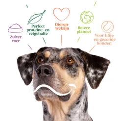 Yarrah - Bio Trockenfutter Vega Getreidefrei -Katzen Hundebedarf Geschäft yarrah bio droogvoer hond vega graanvrij 201212 0500 none