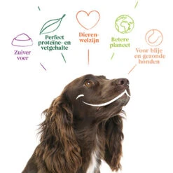 Yarrah - Hundefutter In Soße Vega Mit Hagebutten Bio -Katzen Hundebedarf Geschäft yarrah bio natvoer hond kuipje chunks vega 200843 0500 none