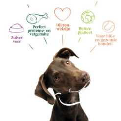 Yarrah - Getreidefreies Trockenfutter Bio -Katzen Hundebedarf Geschäft yarrah droogvoer hond graanvrij bio 201170 0500 none