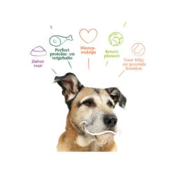 Yarrah - Trockenfutter Senior Mit Huhn, Fisch Und Kräutern Bio -Katzen Hundebedarf Geschäft yarrah droogvoer hond senior bio 201146 0500 none