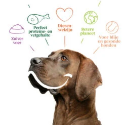 Yarrah - Trockenfutter Sensitiv Mit Huhn Und Reis Bio -Katzen Hundebedarf Geschäft yarrah droogvoer hond sensitive bio 199148 0500 none