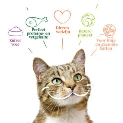 Yarrah - Katzenfutter Paté Rind Mit Chicorée Bio -Katzen Hundebedarf Geschäft yarrah pat kat kuipje met rund bio 201059 0500 none