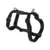 Zee.Dog H-Geschirr -Katzen Hundebedarf Geschäft zeedog h harness 201491 0500 none